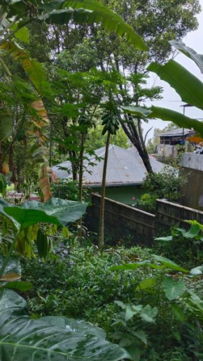 Villa Kubu Gitgit